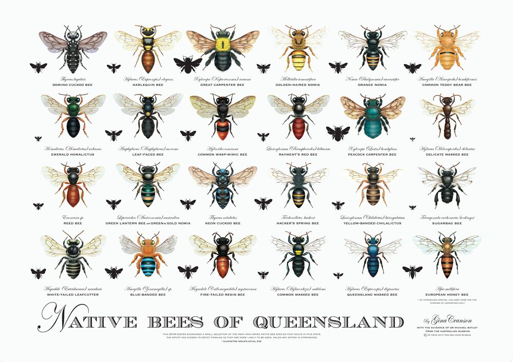 bees 4.jpg