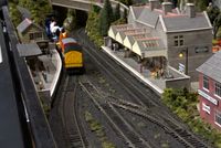 IMG_2977.jpeg